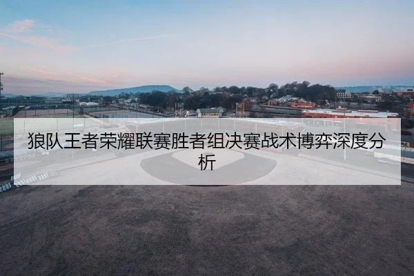 狼队王者荣耀联赛胜者组决赛战术博弈深度分析